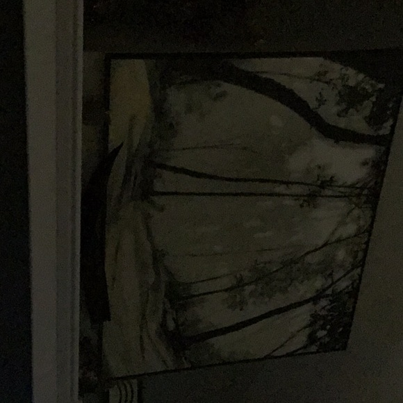 Meet your Posher, Cynthia - Picture 1 of 1